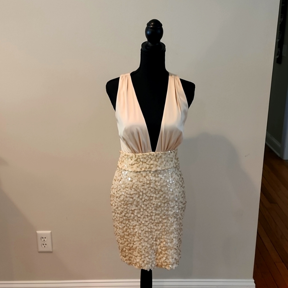 Sexy cocktail dress / party dress